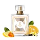Paris Perfumes N° 520
