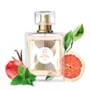 Paris Perfumes N° 770