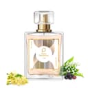 Paris Perfumes N° 238