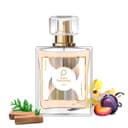 Paris Perfumes N° 464