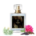 Paris Perfumes N° 487