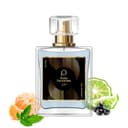 Paris Perfumes N° 339