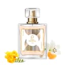 Paris Perfumes N° 336