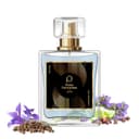 Paris Perfumes N° 479