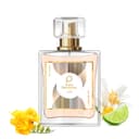 Paris Perfumes N° 328