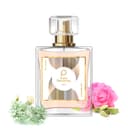 Paris Perfumes N° 140