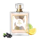 Paris Perfumes N° 240