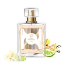 Paris Perfumes N° 462