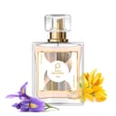 Paris Perfumes N° 126