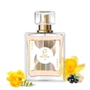 Paris Perfumes N° 318