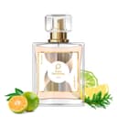 Paris Perfumes N° 306